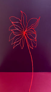 Red flower